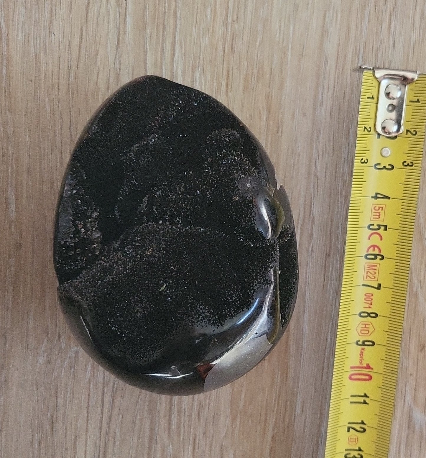 Septaria uovo