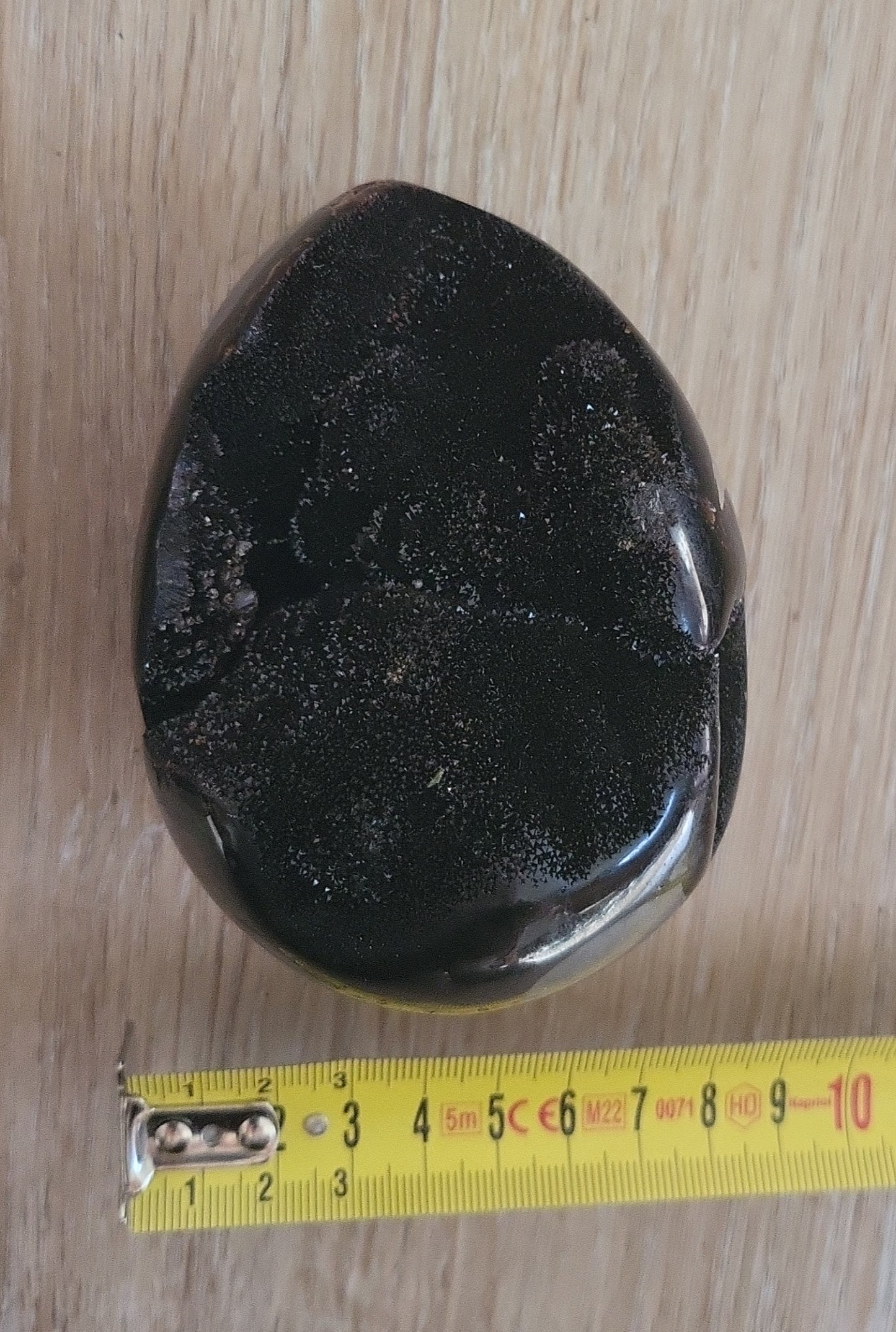 Septaria uovo