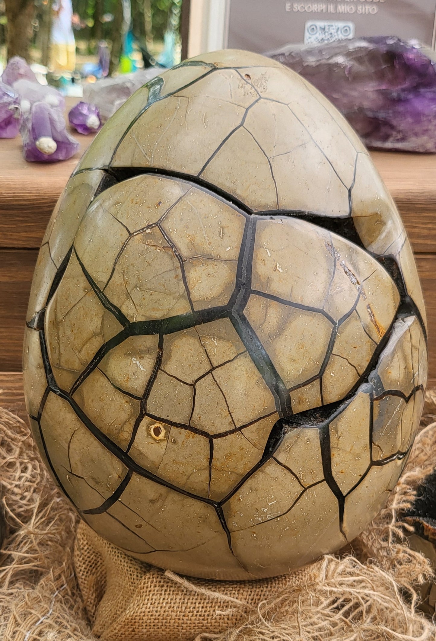 Septaria uovo gigante con apertura (Uovo di Drago)