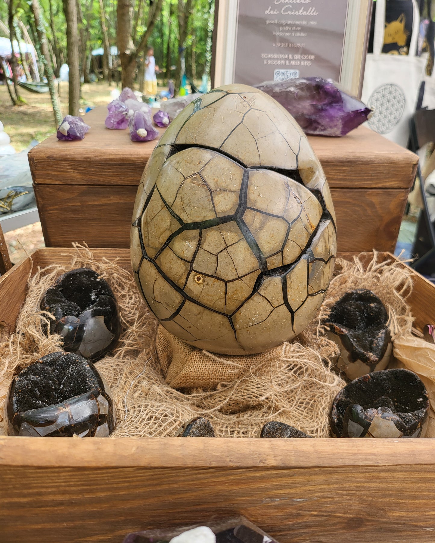 Septaria uovo gigante con apertura (Uovo di Drago)