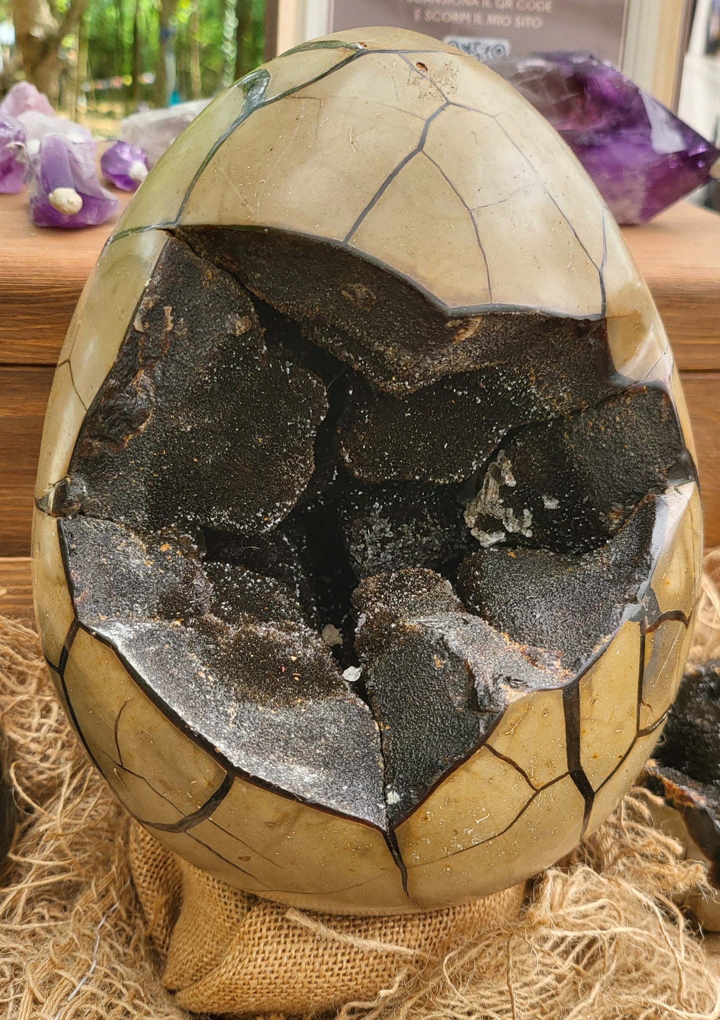 Septaria uovo gigante con apertura (Uovo di Drago)