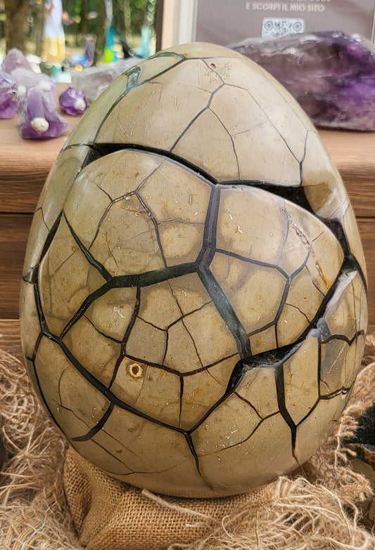 Septaria uovo gigante con apertura (Uovo di Drago)